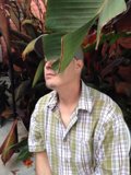 Man in a Hat surrounded by Foliage