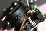 Wired for Action