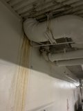 Dripping Pipe Causing Home and Mold Damage