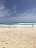 Serene Stroll by the Sea