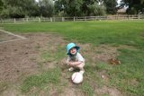 Budding Athlete: A Childhood Enchantment with Soccer