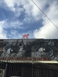 The Cat and the Building