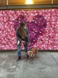Blooming Beauty and Her Faithful Companion