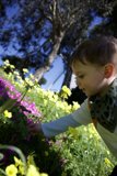 The Young Explorer: Geranium Whisperer