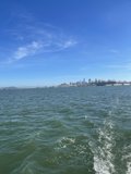 Serene Cityscape from the Bay