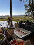 Farm-to-Table Lunch at Scribe