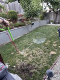 Backyard Bubble Fun