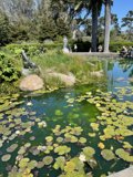 Serene Pond in the Heart of a Park