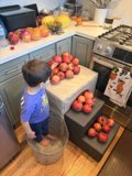Pomegranate Paradise in the Kitchen