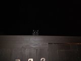 Midnight Sentinel