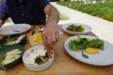 Enjoying a Fresh Brunch Outdoors