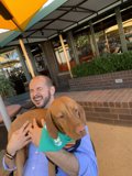 Dining with My Furry Friend