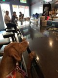 Man's Best Drinking Buddy