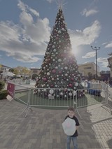 Child with Cotton Candy at Christmas Tree Display
