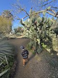 Exploring Nature's Path