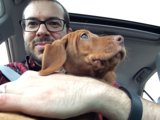 Driving with My Best Friend