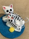 Feline Fun on the Court