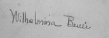 Enigmatic Signature