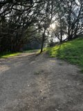 A Scenic Pathway Through McLaren Park