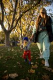 A heartwarming stroll in Downtown Sonoma
