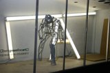 Man Standing in Front of Wood-Floored Glass Window