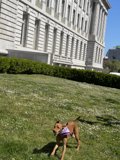 Running Free in the City