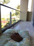 Balcony Bliss