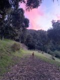Sunset Stroll