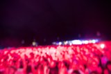 Electric Night at Coachella