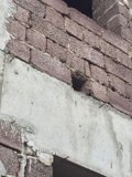 Herringbone Brick Pattern