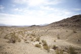 Desert Solitude