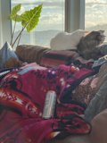 Comfy Couch Company