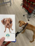 A Dog and a Drawing