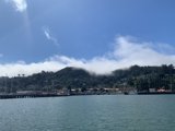 Bayfront View from the Ferry