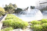 Fountain Oasis in the City