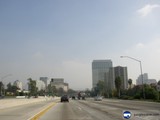 The Smoggy Metropolis