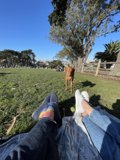 Relaxing in Alamo Square