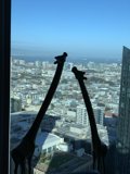 Giraffe Statue Overlooks Metropolis