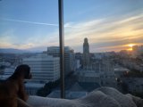 City Canine Watch