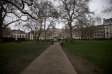 Bare Trees Frame Georgian Square on Grey London Day