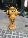Googly Eyes Hydrant Portrait