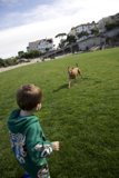 Unforgettable Bond: A Boy and His Dog at Francisco Park
