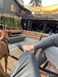 Lapdog in the Great Outdoors