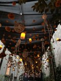 Enchanting Chandelier