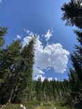 A Haven of Nature's Beauty