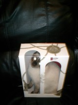 Feline in Flight Box