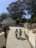 Summer Stroll in Sausalito