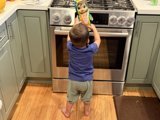 Curious Adventures in the Kitchen