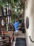 Man in Blue Shirt Admiring Decorative Plants in Santa Fe Hallway