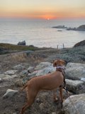 Overlooking the Pacific